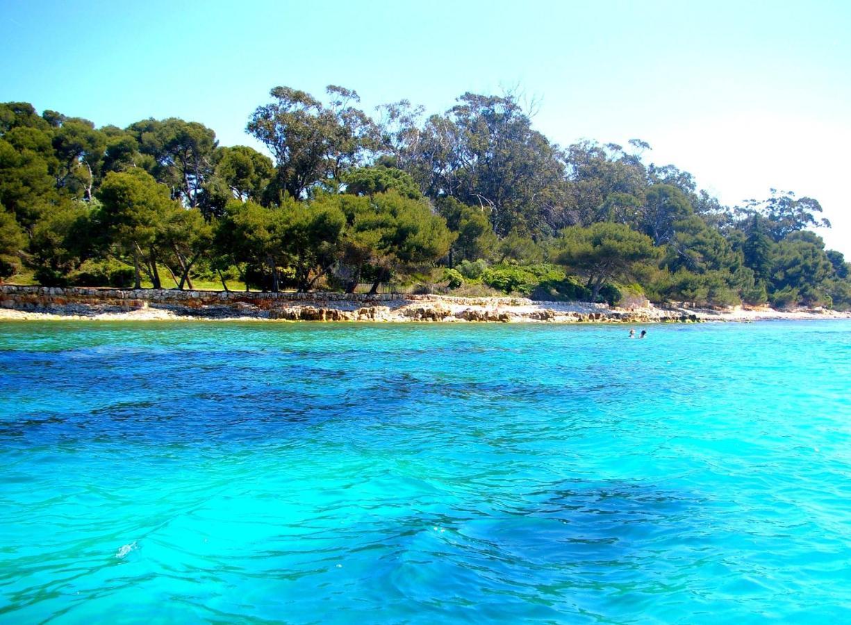 Magnifique "Gite De La Garoupe" Au Cap D'Antibes A 300M Des Plages المظهر الخارجي الصورة